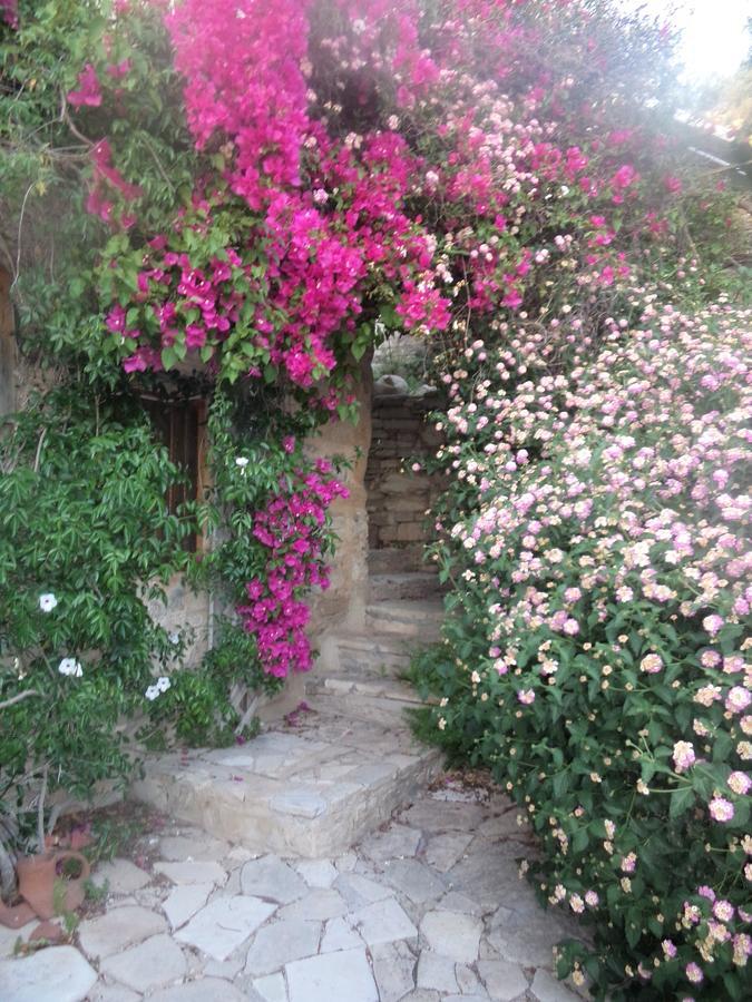 فيلا Lantana Stone House Lemona المظهر الخارجي الصورة